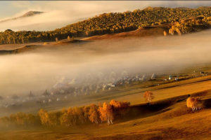 mist over valley with some trees and huts at sunrise